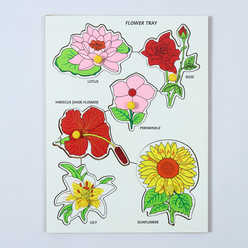 FLOWER TRAY WITH KNOB